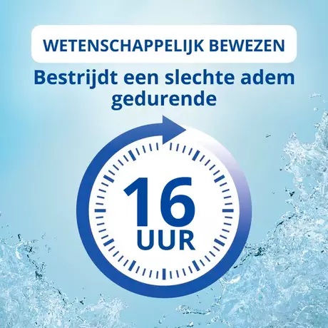 CB12 Gezond Tandvlees Mondwater 250 ML
