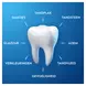 Oral-B Pro-Expert Intense Reiniging Tandpasta 75 ML