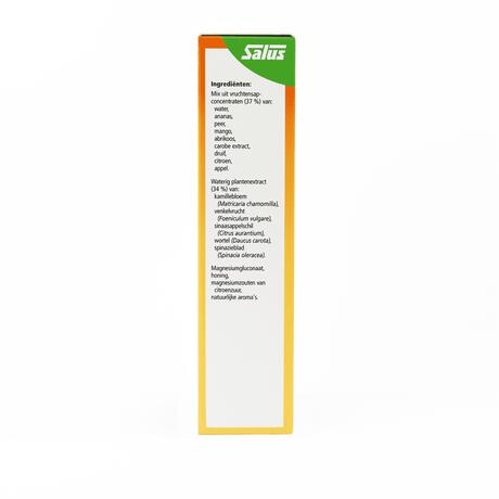 Floradix Salus Magnesium Mineral Drink