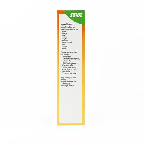 Floradix Salus Magnesium Mineral Drink