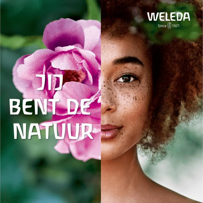 Weleda Visiodoron Malva Oogdruppels Ampullen 0,4 ML