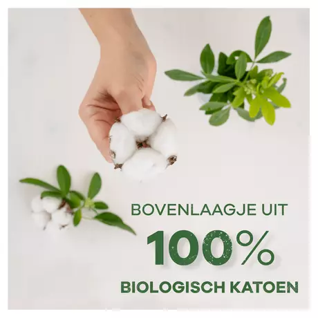 Always Inlegkruisjes Daily Cotton Protection Large 24 stuks