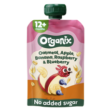 Organix Bio Knijpfruit Haver Appel Banaan Framboos Bosbes 12+ Maanden 100 gram