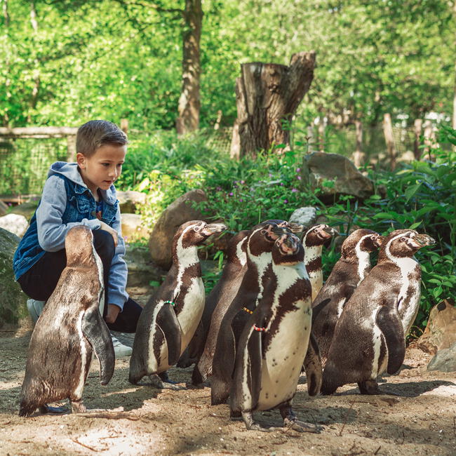 Entreeticket AquaZoo Leeuwarden vanaf 3 jaar