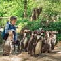 Entreeticket AquaZoo Leeuwarden vanaf 3 jaar