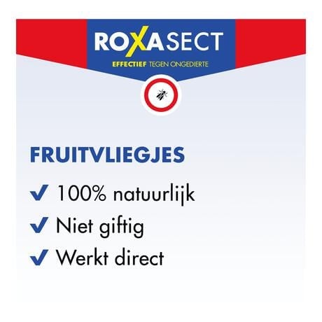 Roxasect Fruitvliegjes Vanger 1 stuk