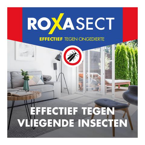 Roxasect Spuitbus Vliegende Insecten 400 ML