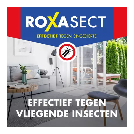 Roxasect Spuitbus Tegen Vliegende Insecten 400 ML