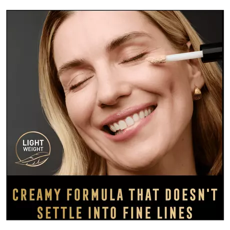 Max Factor Facefinity Maxi Concealer Liquid 10N