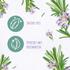 Andrélon Pro Nature Rosemary Refresh Shampoo&nbsp;400 ML