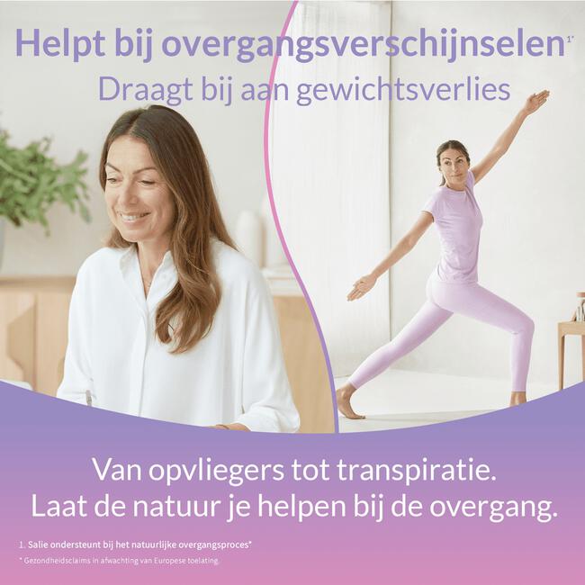 Valdispert Overgang Gewicht 60 stuks
