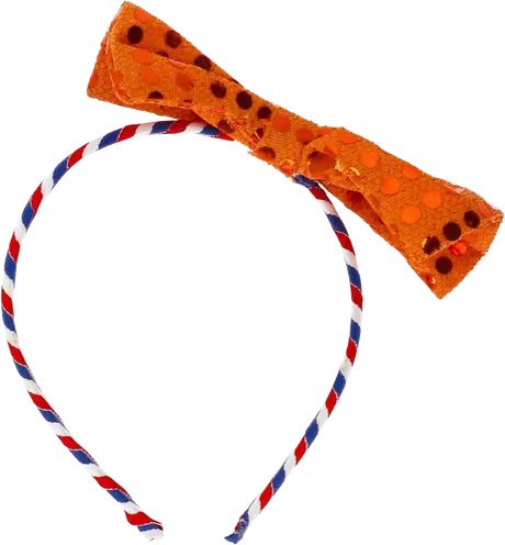 Koningsdag Tiara Oranje Strik