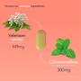 Valdispert Stress Moments 20 tabletten