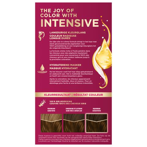 Palette 6-65 Goudbruin / Châtain Doré