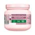 Garnier Loving Blends Grape Moisture Masker 340 ML