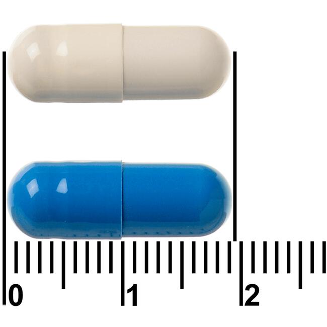 Ymea Overgang Dag & Nacht 64 Capsules