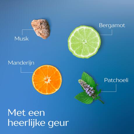 Andrélon Men Anti-roos shampoo 400 ML