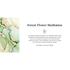 Therme Giftset Forest Flower Meditation
