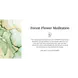 Therme Giftset Forest Flower Meditation