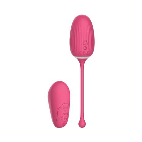 EasyToys Oplaadbaar Vibratie Eitje