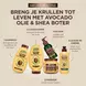 Garnier Loving Blends Avocado Olie & Karité Boter Leave-In Crème 200 ML