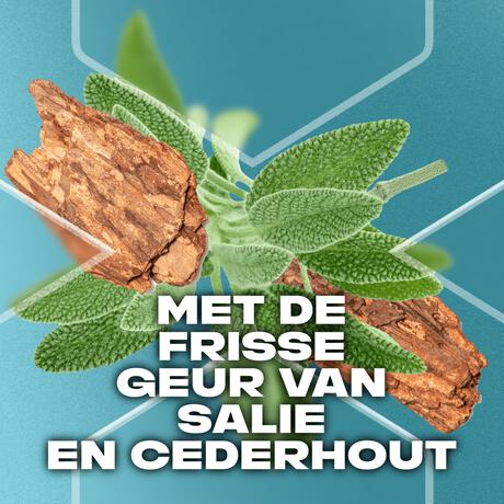 AXE Apollo Douchegel 250 ML