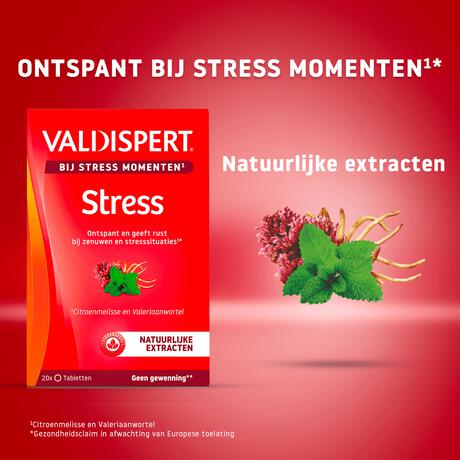 Valdispert Stress Moments 20 tabletten