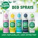 Happy Earth 100% Natuurlijke Jasmine Ho Wood Deodorant Spray 100 ML