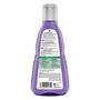 Guhl Zilverglans & Verzorging Shampoo 250 ML