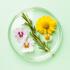 Weleda Skin Food Douchecrème 200 ML