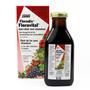 SALUS Floradix Floravital 250 ML