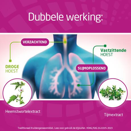 Bronchostop Hoestpastilles bij Vastzittende Hoest of Keelpijn 20 Stuks