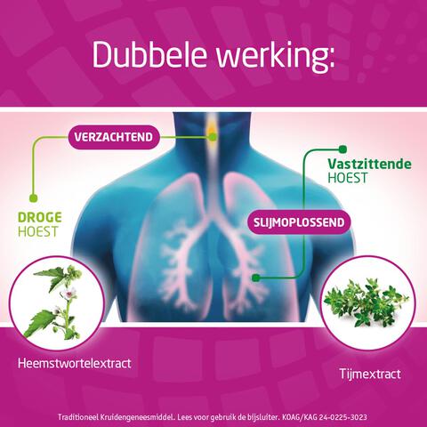 Bronchostop Hoestpastilles bij Vastzittende Hoest of Keelpijn 20 Stuks