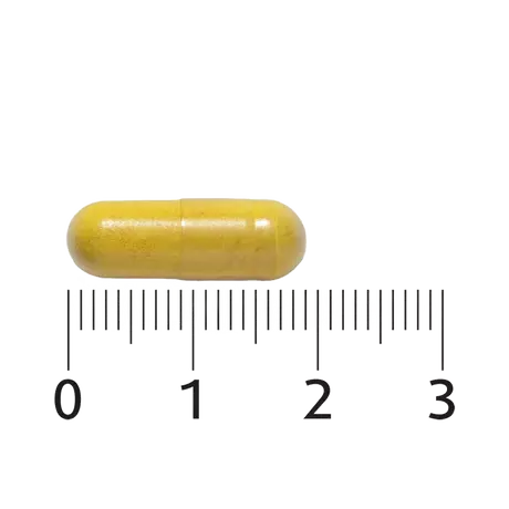 Lucovitaal Berberine Puur 500 mg 30 stuks