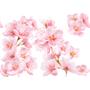 Kneipp Geschenkset Soft Skin Amandelbloesem