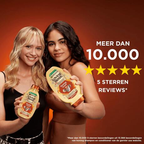 Garnier Loving Blends Honing Goud Conditioner 250 ML