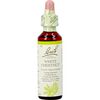 Bach Bloesem Essence White Chestnut&nbsp;20 ML