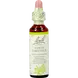 Bach Bloesem Essence White Chestnut&nbsp;20 ML