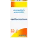 Oscillococcinum Homeopathisch Geneesmiddel Buisjes 30 stuks