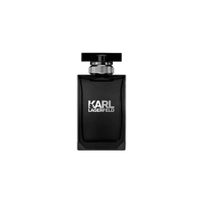 Karl Lagerfeld pour Homme eau de toilette 100 ML