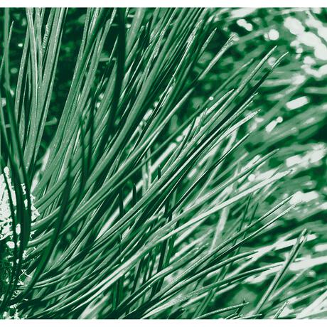 Kneipp Men Nature Feeling 2-in-1 Douchegel 200 ML