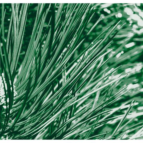 Kneipp Men Nature Feeling 2-in-1 Douchegel 200 ML