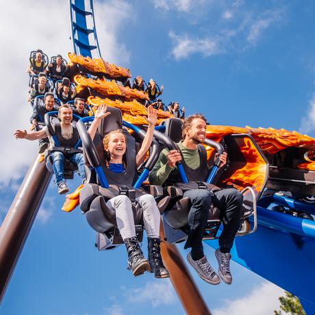 Entreeticket Toverland Volwassenen v.a. 140 cm