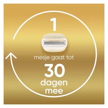 Gillette Venus Comfort Glow Argan Olie Navulmesjes 3 stuks