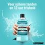 Listerine® Cool Mint Milde Smaak Mondspoeling 500 ML