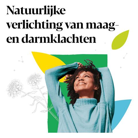 Iberogast Druppels Bij Prikkelbare Maag- En Darmklachten 50 ML