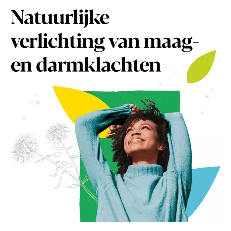 Iberogast Druppels Bij Prikkelbare Maag- En Darmklachten 50 ML