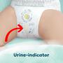 Pampers Harmonie Luiers Maat 2 4-8 KG 30 Stuks