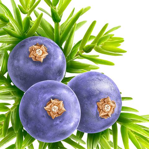 Kneipp Muscle Soothing Badkristallen 600 GR