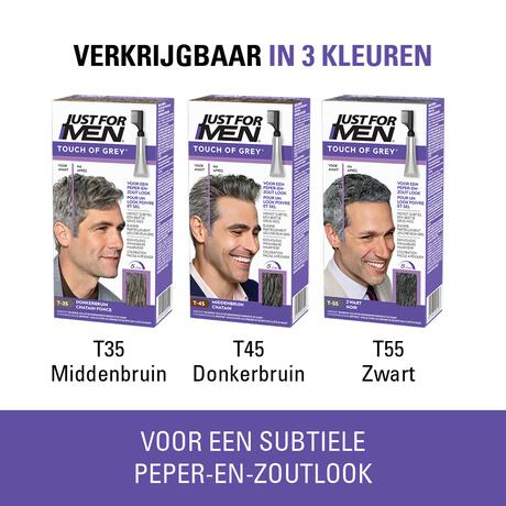 Just For Men Touch of Grey T55